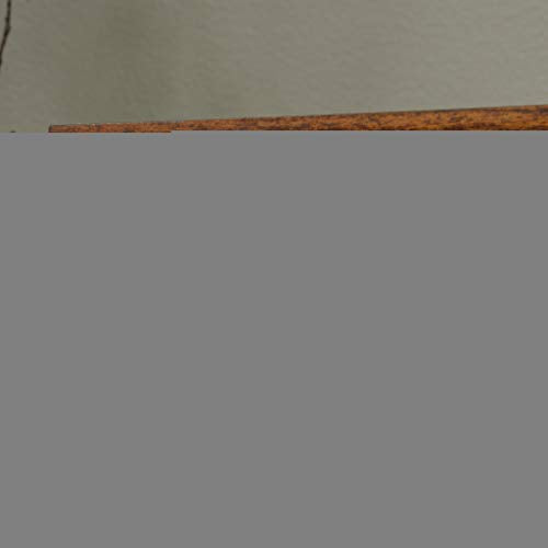 Sauder Carson Forge Rustic Vintage Computer Desk with Drawers Storage, in Washington Cherry finish