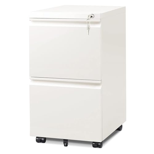 DEVAISE 2 Drawer Mobile File Cabinet with Lock, Commercial Vertical Metal Filing Cabinet for Home Office, Fully Assembled Except Casters, White