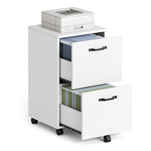 VASAGLE CUSTOS Collection - 2-Drawer File Cabinet, Small Rolling Filing Cabinet for Home Office, Printer Stand, for A4, Letter-Size Documents, 15.7 x 16.5 x 27.6 Inches, Snow White UOFC040W46V2S