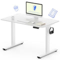 FLEXISPOT Standing Desk, 48" x 24" One-Piece Desktop, Height Adjustable Computer Desk for Home Office, White Frame & White Top (One Package)