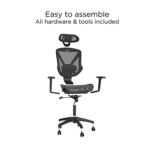 Staples Dexley Ergonomic Task Chair, Mesh, Ergonomic, Lumbar Support, Adjustable Height, Black