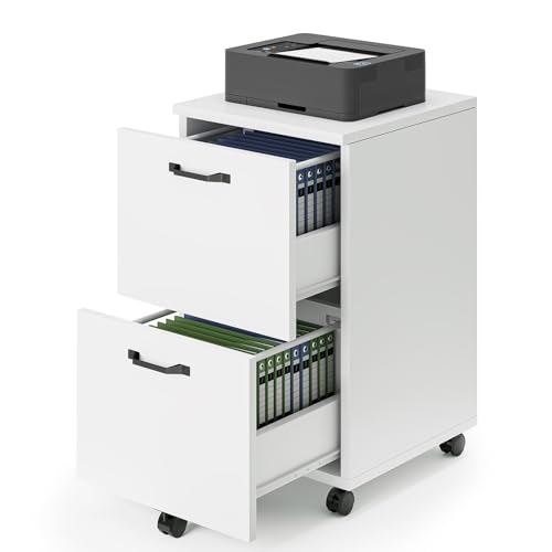 DUMOS 2 Drawer Filing Cabinet, Rolling Wood File Cabinet for Home Office, Under Desk Storage with Lockable Wheels, Printer Stand, Office Organizer, White