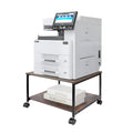 EMERIT Printer Stand,19.5''x19.5''x12.8'' 2 Tier Large Printer Laser Table Heavy Duty Rolling Printer Cart with Wheels for Home Office -100 LBS Each Tier