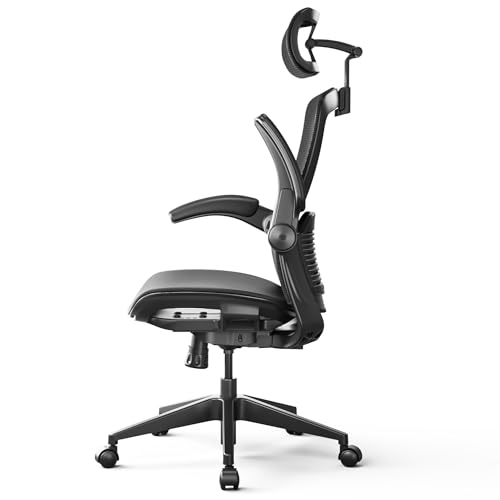 FLEXISPOT OC3-Pro Air Ergonomic Office Chair for Big and Tall Black, High Back Office Chair with Flip-up Arm/8-Level Lumbar Support, Mesh Seat Cushion, Chairs for Home Office Working Studying Gaming