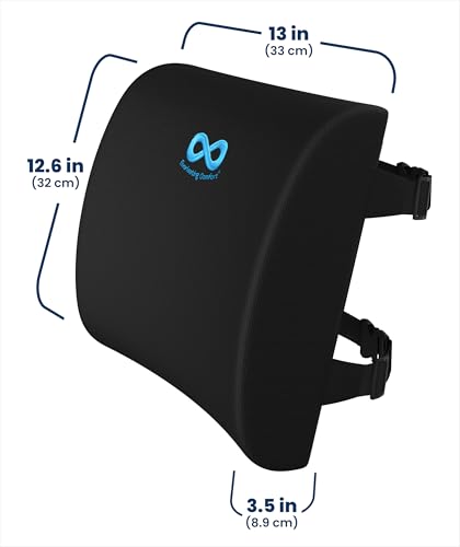 Everlasting Comfort The Original Lumbar Support Pillow for Office Chair - Improves Posture, Promotes Back Pain Relief - Superior Back Support for Gaming and Desk Chairs - Lumbar Pillow for Car, Couch
