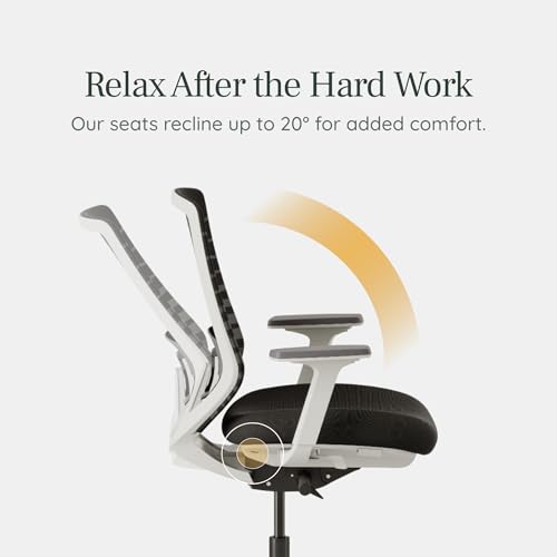 Branch Ergonomic Chair - A Versatile Desk Chair with Adjustable Lumbar Support, Breathable Mesh Backrest, and Smooth Wheels - Experience Optimal Comfort and Support - Pebble - White