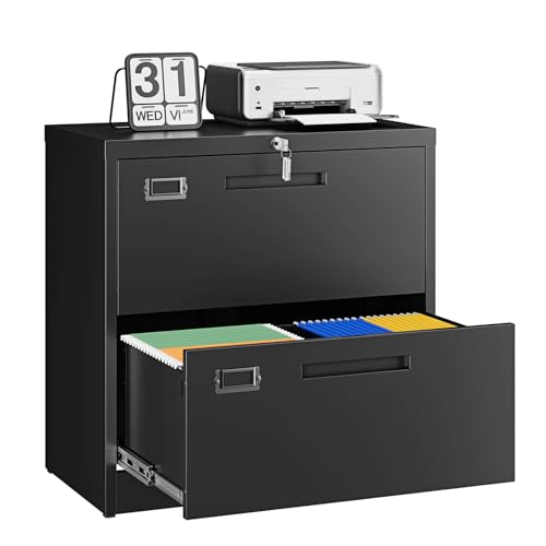 Letaya 2 Drawer File Cabinet with Lock,Metal Lateral Filing Cabinet for Home Office,Hanging Letter/Legal/A4 Size (Black, H27.95×W28.35×D15.74)