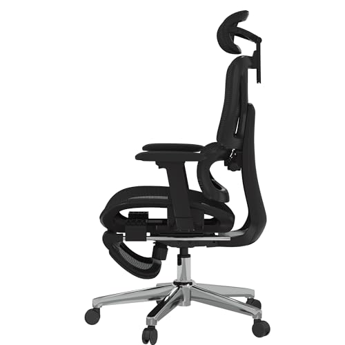 FLEXISPOT ErgoX Premium Ergonomic Office Chair with Footrest - Adjustable 3D Armrests, Dynamic Lumbar Support, Recline & Tilt Function, Mesh Seat, for Home & Office Use, Black