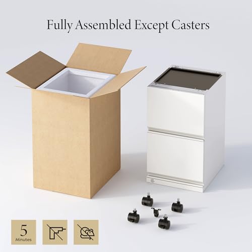 DEVAISE 2 Drawer Mobile File Cabinet with Lock, Commercial Vertical Metal Filing Cabinet for Home Office, Fully Assembled Except Casters, White