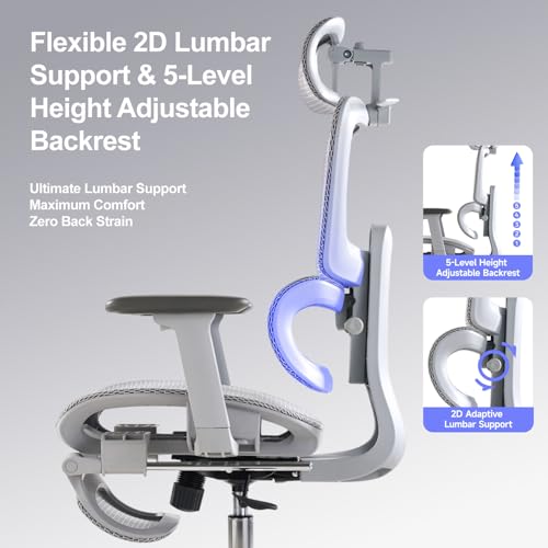 LarkLeaves Office Chair with Footrest, Ergonomic Chair with 3D Headrest, Computer Chair with Adjustable Backrest & 3D Armrest, Gaming Chair with Adaptive Lumbar Support, Mesh Backrest & Cushion, Grey