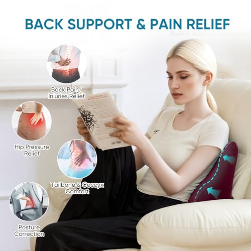 AHUAWA Back Support Pillow for Recliner Chair, Memory Foam Couch Back Cushions Ergonomic Large Lumbar Support Pillow for Lower Back Pain Relief, with Soft Velvet