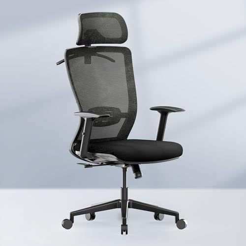 FLEXISPOT OC3 Cloud Ergonomic Office Chair High Back Mesh Swivel Computer Chair Executive Office Desk Chairs with Adjustable Lumbar Support/2D Headrest/Lockable Backrest, Foam Seat Cushion, Black