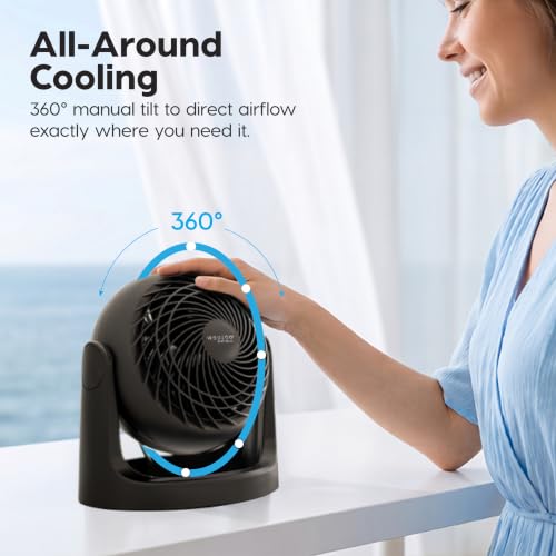 IRIS USA WOOZOO Desk Fan, Air Circulator, 3 Speeds, 52ft Max Air Distance, 157ft² Coverage, 360° Adjustable Vertical Tilt, 20db Quiet Motor, Fan for Bedroom, Office, Dorm, Medium, Black