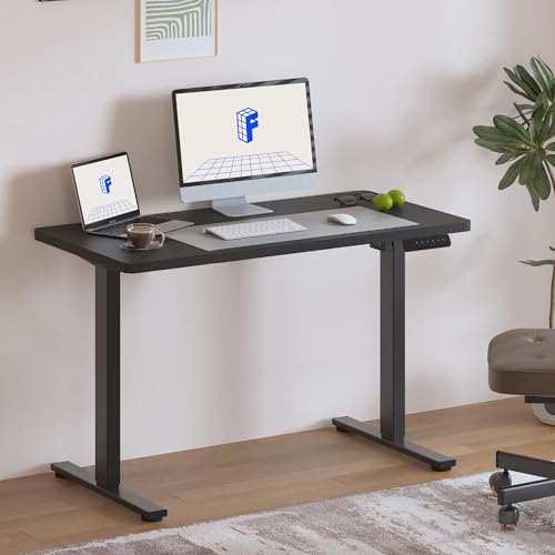 FLEXISPOT Electric Standing Desk, 40" x 24" One-Piece Desktop, Height Adjustable Computer Desk for Home Office, Black Frame & Black Top (One Package)