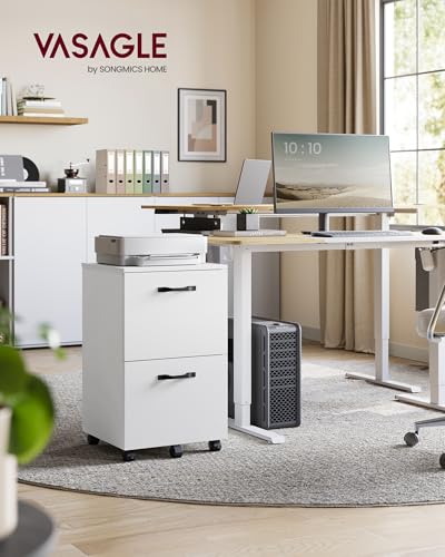VASAGLE CUSTOS Collection - 2-Drawer File Cabinet, Small Rolling Filing Cabinet for Home Office, Printer Stand, for A4, Letter-Size Documents, 15.7 x 16.5 x 27.6 Inches, Snow White UOFC040W46V2S