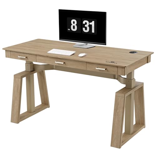 EUREKA ERGONOMIC Standing Desk,60x26 Executive Desk with 3 Drawer Adjustable Height Electric Desk Home Office Computer Desk Modern Workstation with Memory Controller