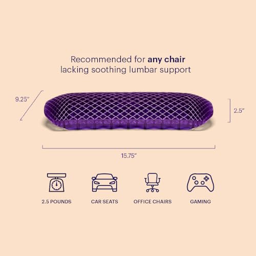 Purple Back Cushion | Pressure Reducing Grid Designed for Ultimate Comfort | Designed for Chairs, Gaming, and Travel | Made in The USA
