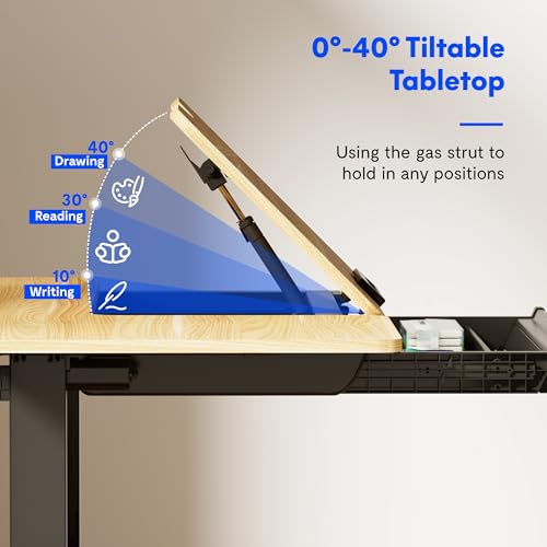 FLEXISPOT Electric Drafting Table Adjustable Height 47.2"x23.6" Standing Drawing Desk Extendable Top Craft Workstation w/Tilting Tabletop, Storage Drawer for Study, Office, Studio, Art, Adult & Kid