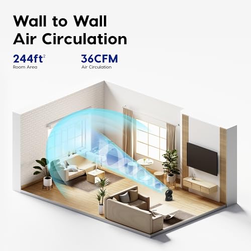 IRIS USA WOOZOO Desk Fan, Oscillating Air Circulator, 3 Speeds, 36ft Max Air Distance, 244ft² Coverage, 112° Adjustable Vertical Tilt, 29db Quiet Motor, Small Fan for Bedroom, Office, Dorm, Black