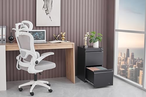 Guizeeopo 2 Drawer File Cabinet with Lock, Vertical File Cabinets for Home Office, Printer Stand, Heavy Duty Steel Office Storage Cabinet for Letter/Legal/A4, Assembly Required(Black)
