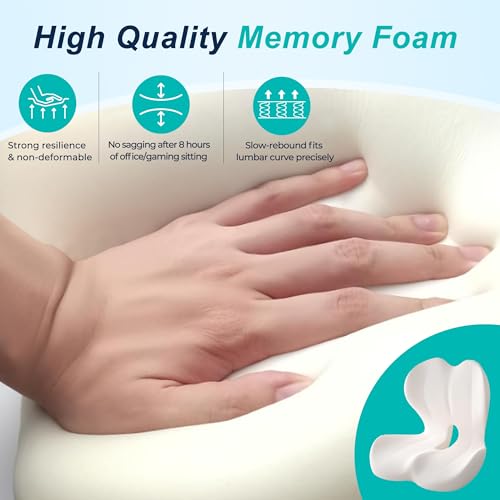 BANKQF Seat Cushion for Office Chair and Car, Lumbar Support Pillow for Office Chair, Memory Foam Ergonomic Seat Cushion for Long Sitting, Back & Tailbone Pain, Sciatica - Black
