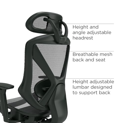 Staples Dexley Ergonomic Task Chair, Mesh, Ergonomic, Lumbar Support, Adjustable Height, Black
