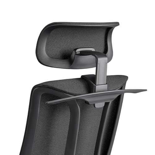 EUREKA ERGONOMIC Lira Office Chair with Headrest, Ergonomic Desk Chair with 3D Armrests, Adjustable Seat Depth, Mesh Computer Chair with Lumbar Support for Home Office(Black)