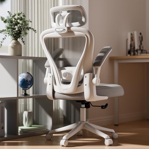 SeekFancy Ergonomic Office Chair M903, Computer Desk Chair with Wheels, High Back Mesh Office Chair with Adjustable Lumbar Support, Headrest, Flip-Up Armrests, White Grey