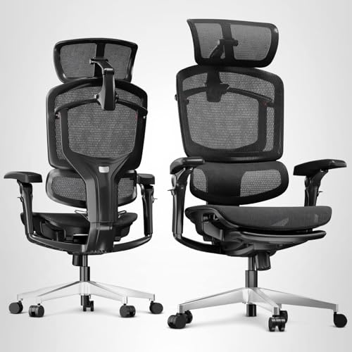 FLEXISPOT ErgoX Premium Ergonomic Office Chair with Footrest - Adjustable 3D Armrests, Dynamic Lumbar Support, Recline & Tilt Function, Mesh Seat, for Home & Office Use, Black