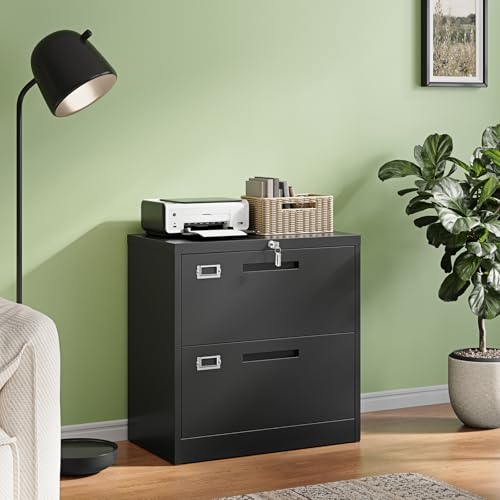 Letaya 2 Drawer File Cabinet with Lock,Metal Lateral Filing Cabinet for Home Office,Hanging Letter/Legal/A4 Size (Black, H27.95×W28.35×D15.74)