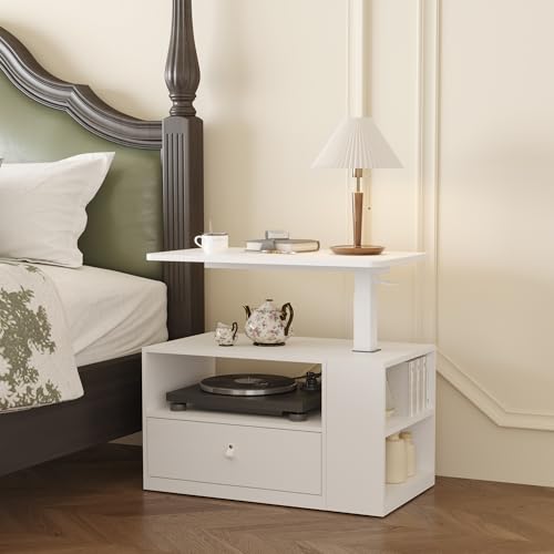 FLEXISPOT H7 CAB Height Adjustable Sit-Stand Computer Workstation Desk with Storage, Pneumatic Lift Laptop Desk with Drawer & Cabinet, Compact Small Space Home Office Desk (25.8"–41.3", White)