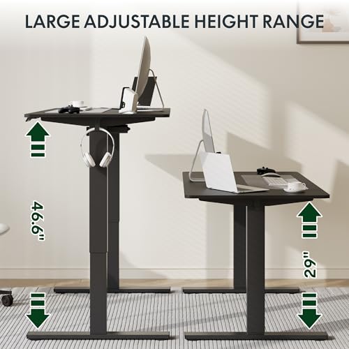 FLEXISPOT Electric Standing Desk, 40" x 24" One-Piece Desktop, Height Adjustable Computer Desk for Home Office, Black Frame & Black Top (One Package)
