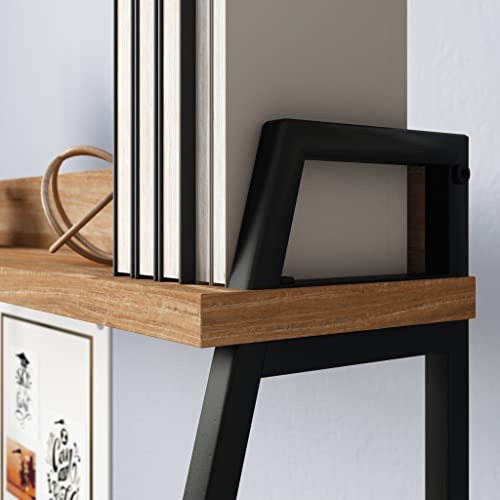 Sauder North Avenue Modern Computer Desk with Hutch for Office, Sindoori Mango Finish