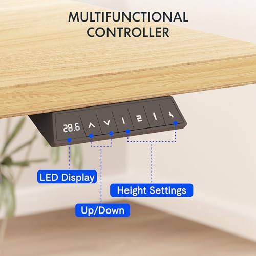 FLEXISPOT EN2 Whole-Piece Standing Desk with Clamp Power Strip, 48 x 24 Electric Stand Up Height Adjustable Desk with Cable Management (White Frame + 48" Maple Top)