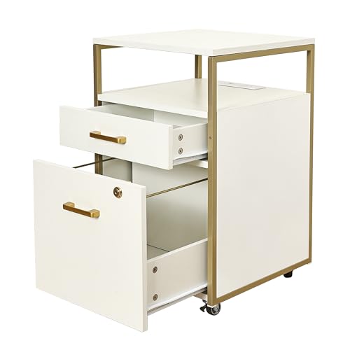 Modern 2-Drawer Rolling File Cabinet with Lock, 2 USB Ports and Power Outlet for Device Charging, Portable File Organizer or Printer Stand for Office or Home with Locking Wheels, White & Gold