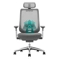 COLAMY Ergonomic Mesh Office Chair, High Back Office Chair, Computer Executive Desk Chair with Lumbar Support,Adjustable Headrest and 4D Arms, Slide Seat, Tilt Lock-Darkgrey New