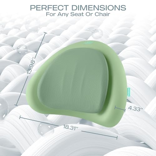 Skechers Lumbar Pillow Premium Memory Foam, Double-Layer-Office Chair Cushion for Tailbone Pain Relief,Butt Pillow for Office Chair,Car seat Cushion,Long Sitting Office Workers,and Car Drivers,Green
