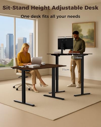 NEXT BEAUTY Electric Standing Desk 48" x 24", Height Adjustable 28"-46", Sit Stand Desk with Memory Presets, Smooth & Quiet Motor, Reinforced Frame, Easy Assembly, Ergonomic Home Office Desk