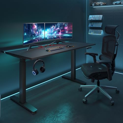 FLEXISPOT Electric RGB Gaming Standing Desk, 55" Dual Motor Height Adjustable Desk with Integrated Cable Management, Ergonomic Sit-Stand Computer Workstation for PC Gamers