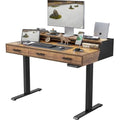 CubiCubi Standing Desk 48x26 Inches with 3 Wood Drawers and Monitor Shelf, Ergonomic Rising Home Office Desks, Height Adjustable Computer Desk, Sit Stand Up Electric Workstation Table, Brown