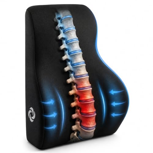 Samsonite Memory Foam Lumbar Support Pillow, Ergonomic Back Cushion for Office Chair, Gaming Chair, Automotive Full Back Support, Home Essentials for Sitting Comfort and Posture Relief, Black