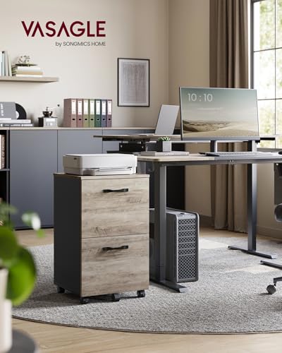 VASAGLE 2-Drawer File Cabinet, Small Rolling Filing Cabinet for Home Office, Printer Stand, for A4, Letter-Size Documents, 15.7 x 16.5 x 27.6 Inches, Heather Greige and Ink Black UOFC040B02