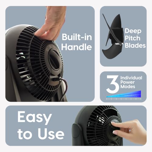 IRIS USA WOOZOO Desk Fan, Air Circulator, 3 Speeds, 52ft Max Air Distance, 157ft² Coverage, 360° Adjustable Vertical Tilt, 20db Quiet Motor, Fan for Bedroom, Office, Dorm, Medium, Black