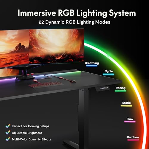 FLEXISPOT Electric RGB Gaming Standing Desk, 55" Dual Motor Height Adjustable Desk with Integrated Cable Management, Ergonomic Sit-Stand Computer Workstation for PC Gamers