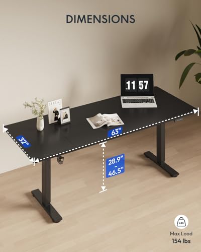 FLEXISPOT 63x32 Inch Electric Large Standing Desk for Home & Office, Spacious Splice Board Desk with Cable Management & Organizer, Cup Holder & Hook, Black