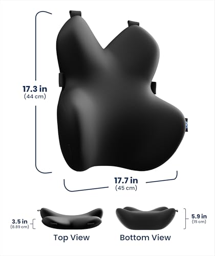Everlasting Comfort Lumbar Support Pillow for Office Chair - Memory Foam Back Cushion for Car Seat - Promotes Better Posture, Back Pain Relief - Ideal Gaming and Desk Chairs Work and Home Essentials