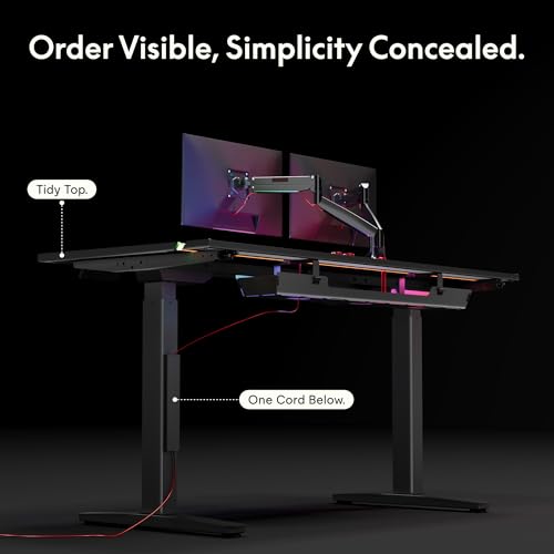 FLEXISPOT Electric RGB Gaming Standing Desk, 55" Dual Motor Height Adjustable Desk with Integrated Cable Management, Ergonomic Sit-Stand Computer Workstation for PC Gamers