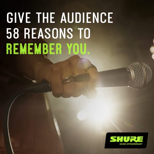 Shure SM58S Dynamic Vocal Microphone with On/Off Switch, Cardioid Pattern, Built-in Pop Filter, for Live & Studio Performance Mic for Singers, Speakers & Stage Use, Black