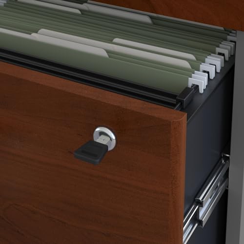 Bush Business Furniture Series C 2 Drawer Lateral File Cabinet in Hansen Cherry, Locking Document Storage for Home or Professional Office