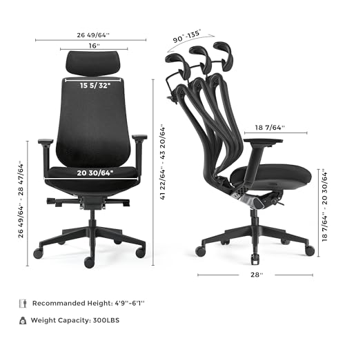 EUREKA ERGONOMIC Lira Office Chair with Headrest, Ergonomic Desk Chair with 3D Armrests, Adjustable Seat Depth, Mesh Computer Chair with Lumbar Support for Home Office(Black)